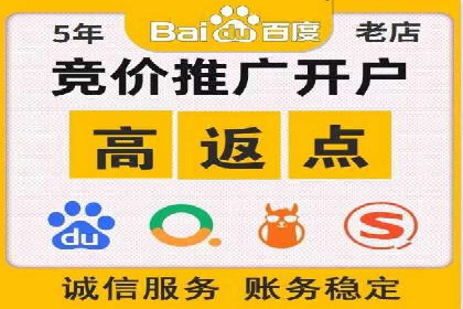 竞价广告策略案例分析